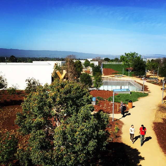 Detalle de una zona del jardín de la parte superior del edificio del nuevo Campus de Facebook.