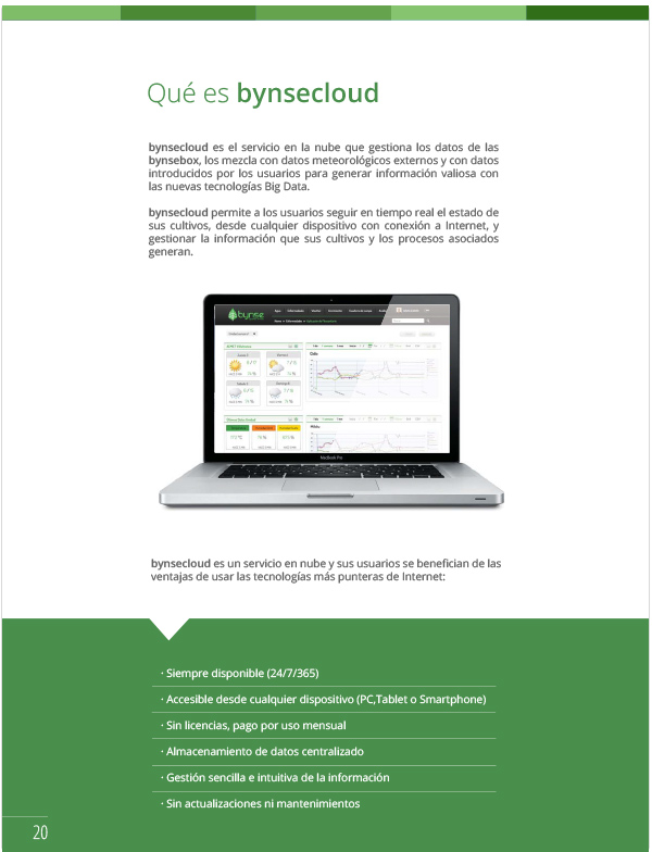 Diseño de brochure corporativo Bynse Agrodata Services, página interior 2