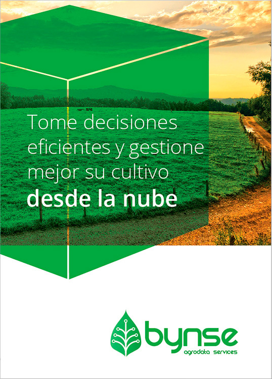 Diseño de brochure corporativo Bynse Agrodata Services