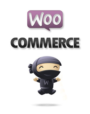 电子商务发展与现代成功WooCommerce平台