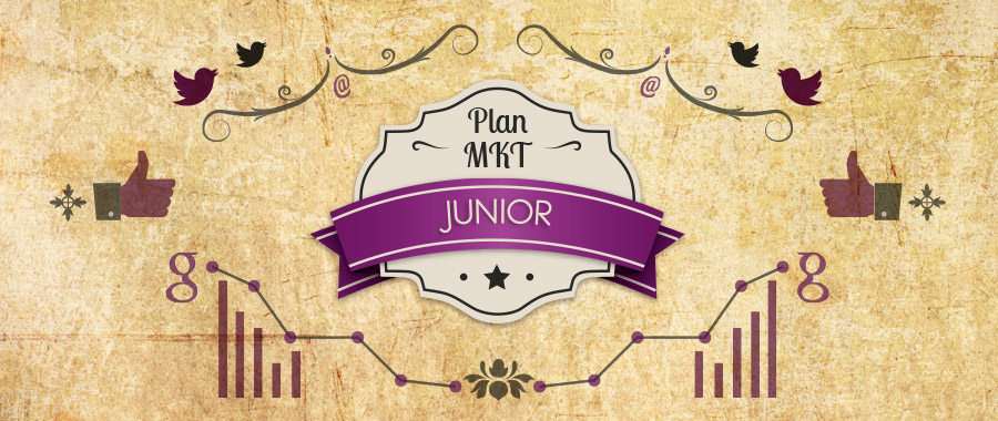 Plan Marketing Junior, Community Manager