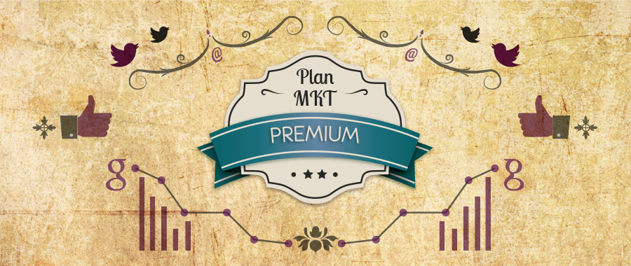Plan Marketing Premium, Community Manager + SEO + Email Marketing
