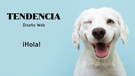 Diseño y programación de la página web corporativa de la agencia de Diseño de páginas web Tendencia diseño web Madrid