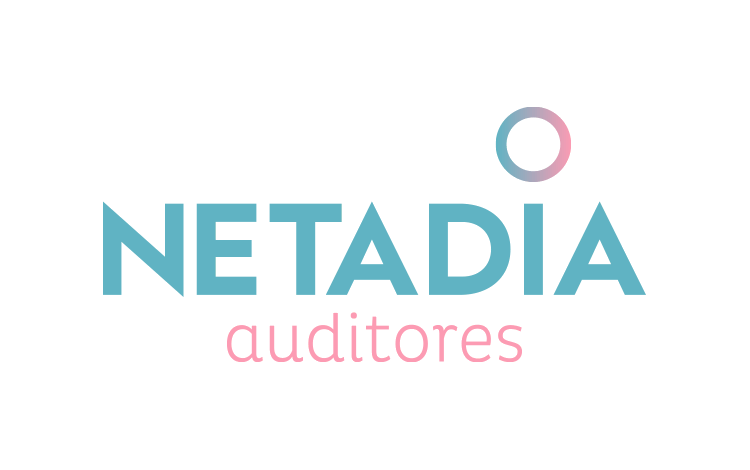 Diseño logotipo Netadia Auditores