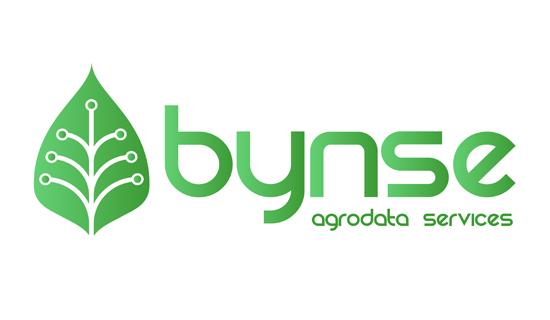 El diseño del logotipo bynse es un trabajo de diseño de logotipos realizado en nuestro estudio de diseño gráfico LN Creatividad y Tecnología