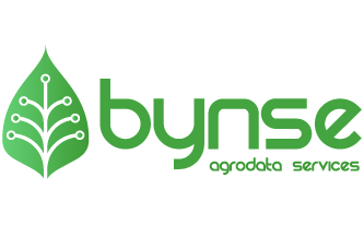 Naming Bynse creado en nuestro estudio de diseño LN Creatividad y Tecnología.