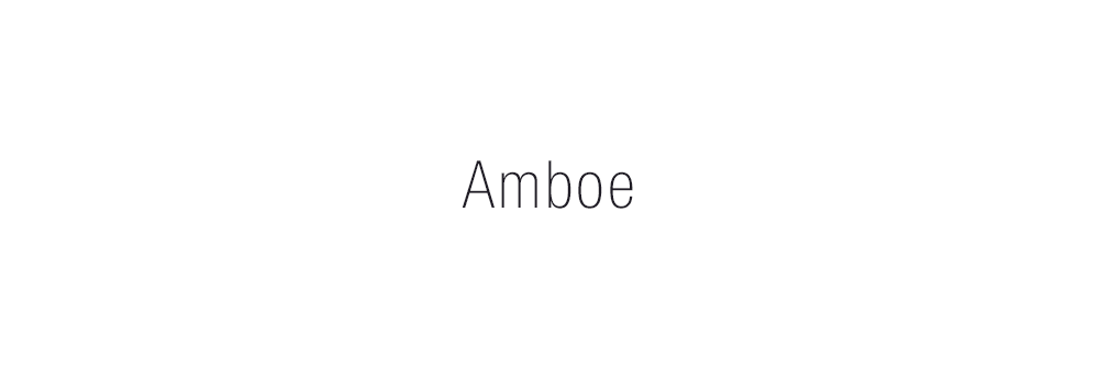 Proyecto de Naming, diseño identidad verbal, creación de nombre Amboe