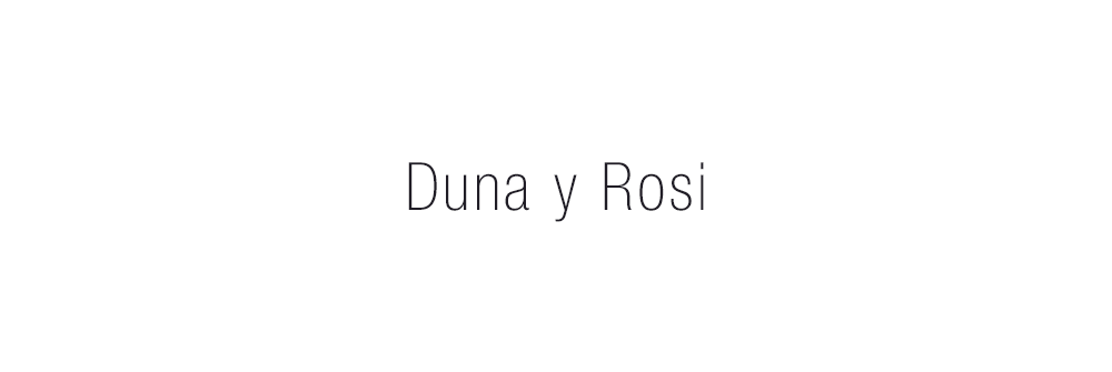 Proyecto de Naming, diseño identidad verbal, creación de nombre Duna y Rosi