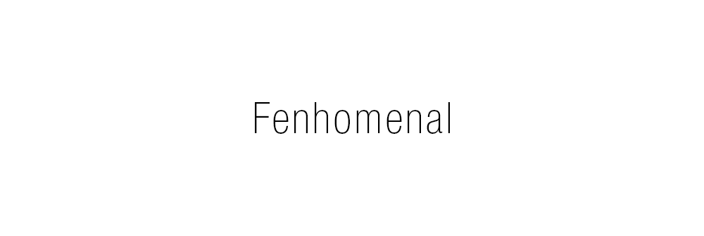 Proyecto de Naming, diseño identidad verbal, creación de nombre Fenhomenal