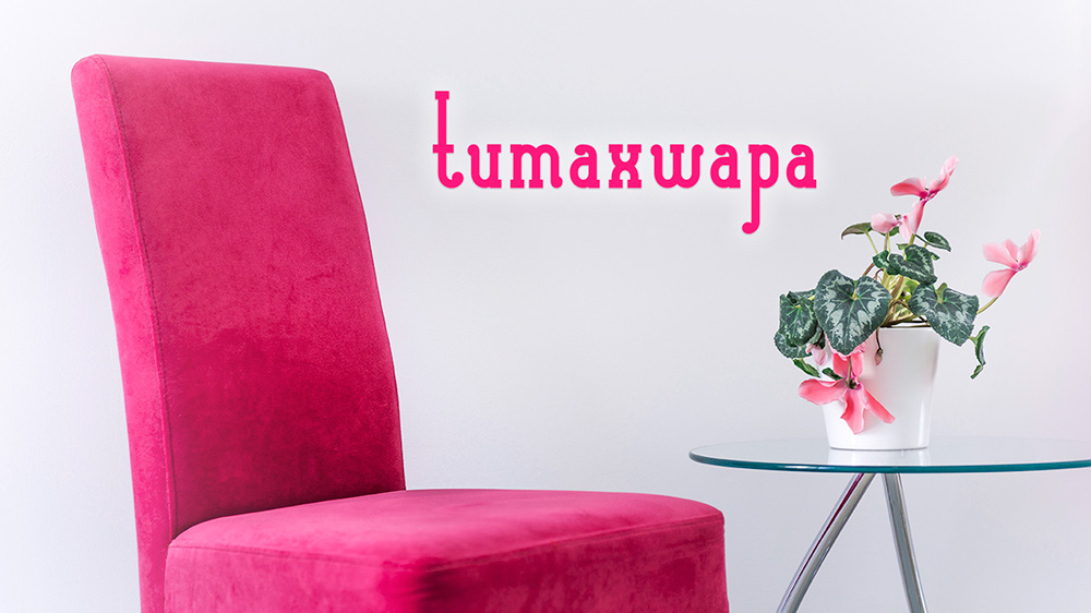 Identidad corporativa, diseño de imagen corporativa Tumaxwapa, diseño branding 3